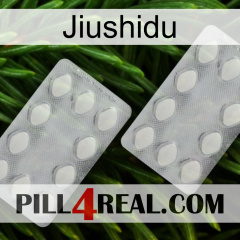 Jiushidu 17